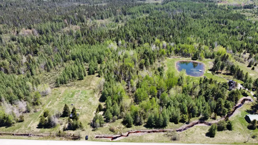 25 Acres S Johnson Rd, Rudyard, MI 49780 - #3