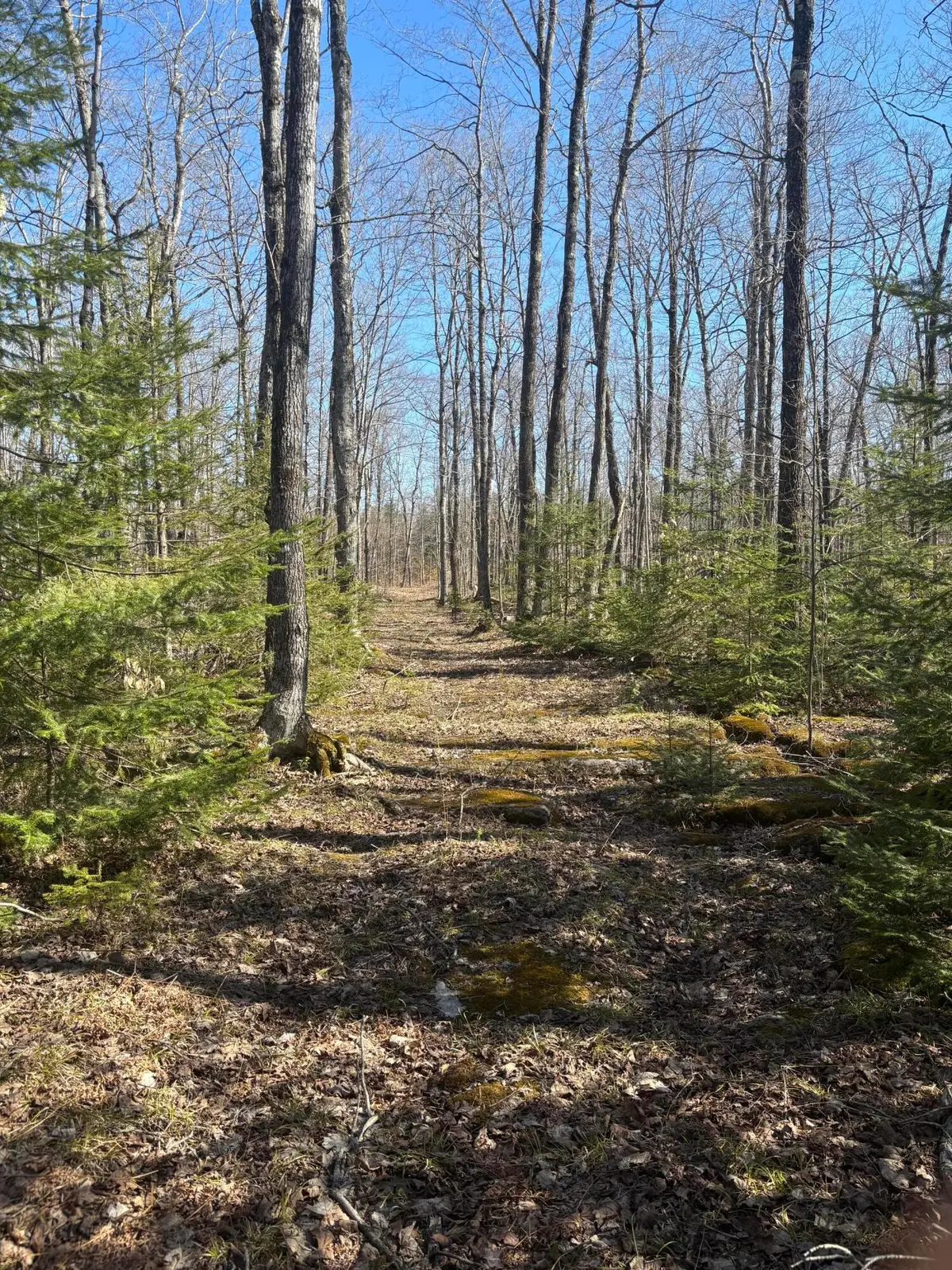 TBD S Walding Rd, Drummond Island, MI 49726 - #1