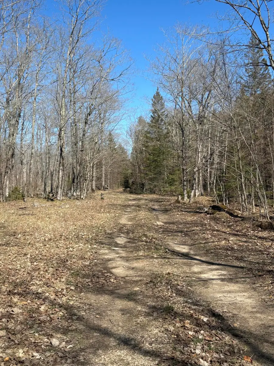 TBD S Walding Rd, Drummond Island, MI 49726 - #2