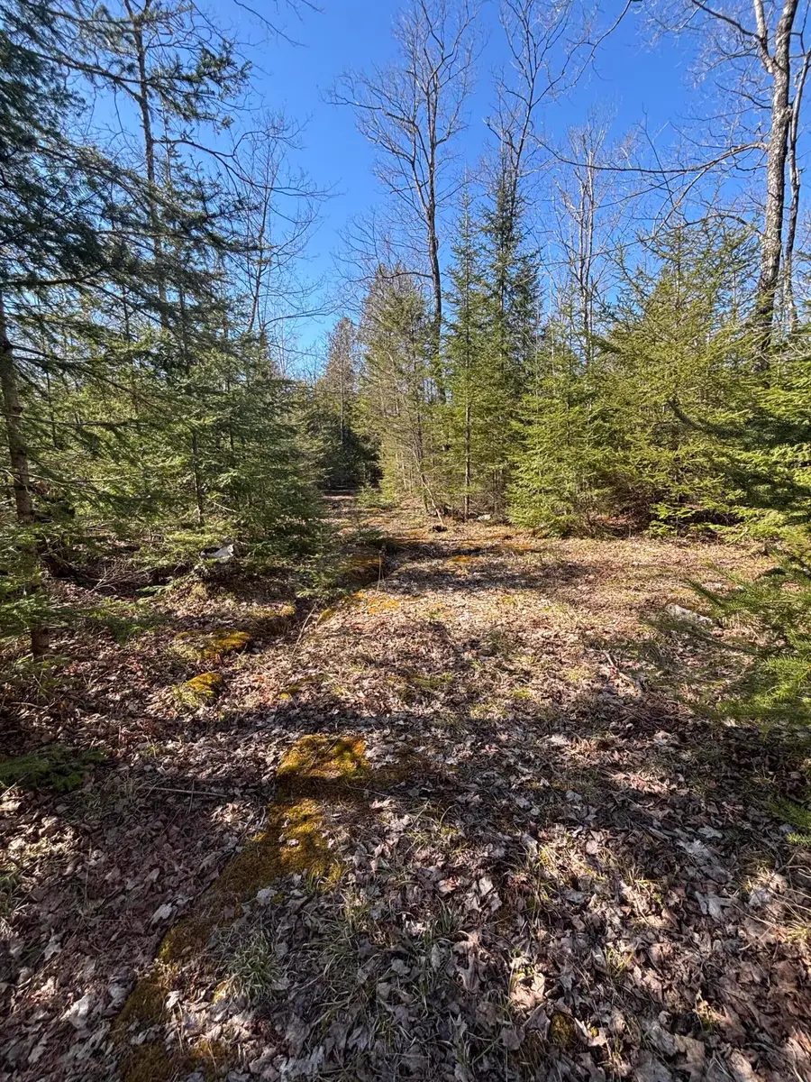 TBD S Walding Rd, Drummond Island, MI 49726 - #3