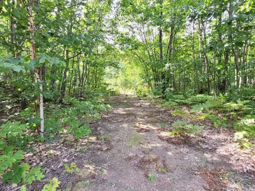 0000 S Deer Run Rd, Kinross, MI 49752 - #3