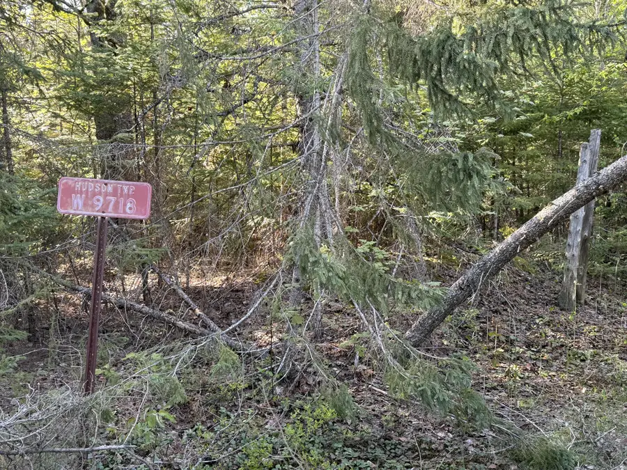 W9718 Black River Rd, Naubinway, MI 49762 - #3