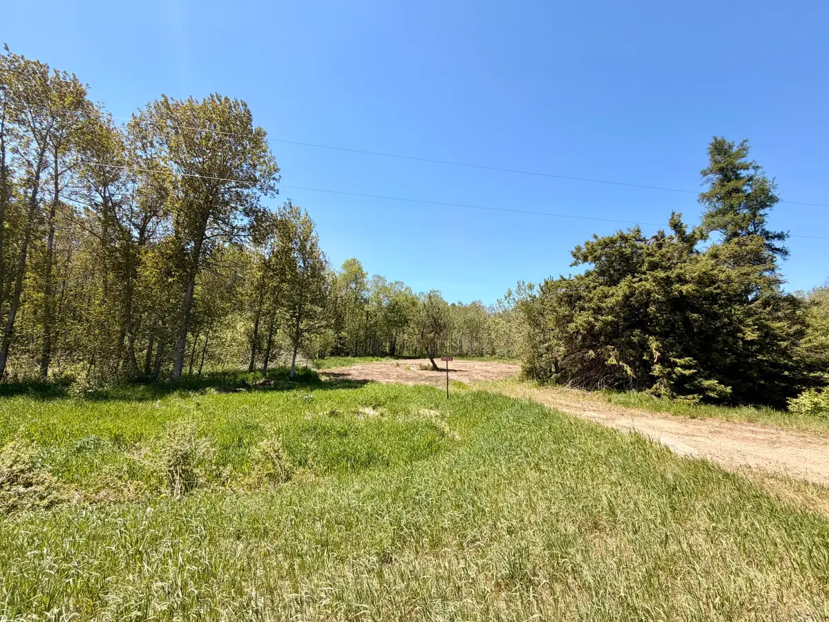 10933 Michigan 123, Newberry, MI 49868 - #1