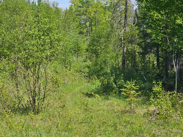 (B) Gager Rd, Engadine, MI 49827