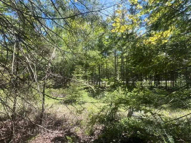 TBD E South Caribou Lake Rd, De Tour Village, MI 49725 - #1