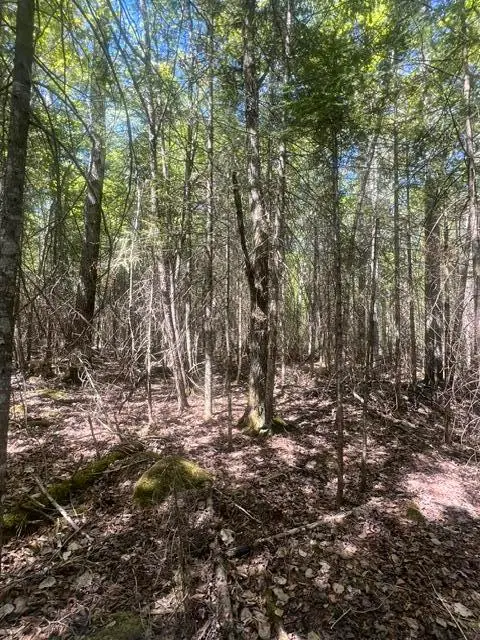 TBD E South Caribou Lake Rd, De Tour Village, MI 49725 - #3
