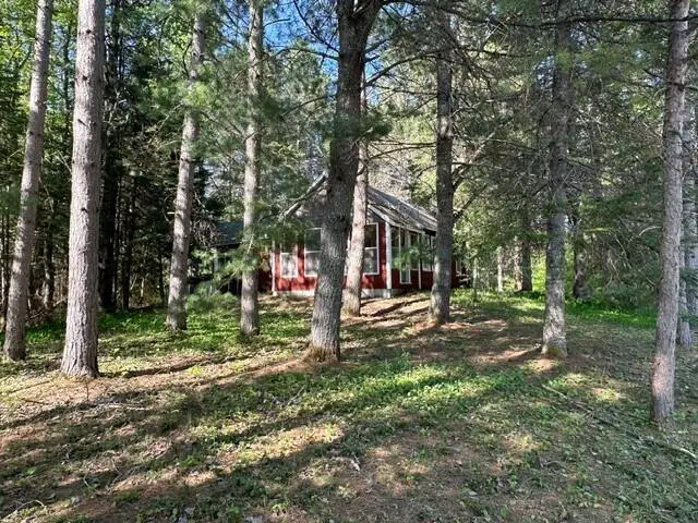 25433 W H-40, Trout Lake, MI 49793 - #1