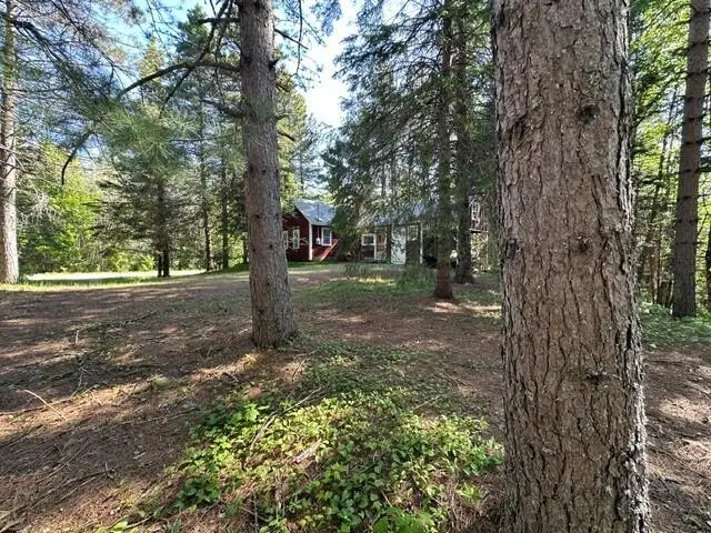 25433 W H-40, Trout Lake, MI 49793 - #3