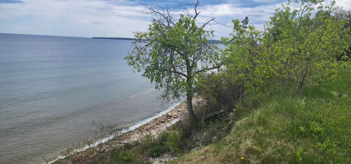 TBD S State St, Saint Ignace, MI 49781 - #1