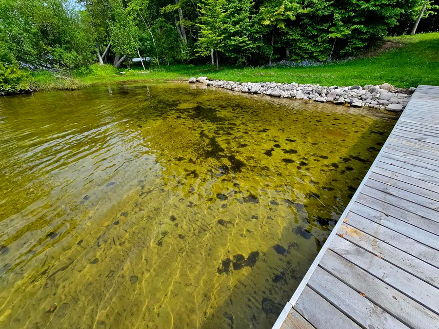 000 Needle Pointe Rd, Germfask, MI 49836 - #2