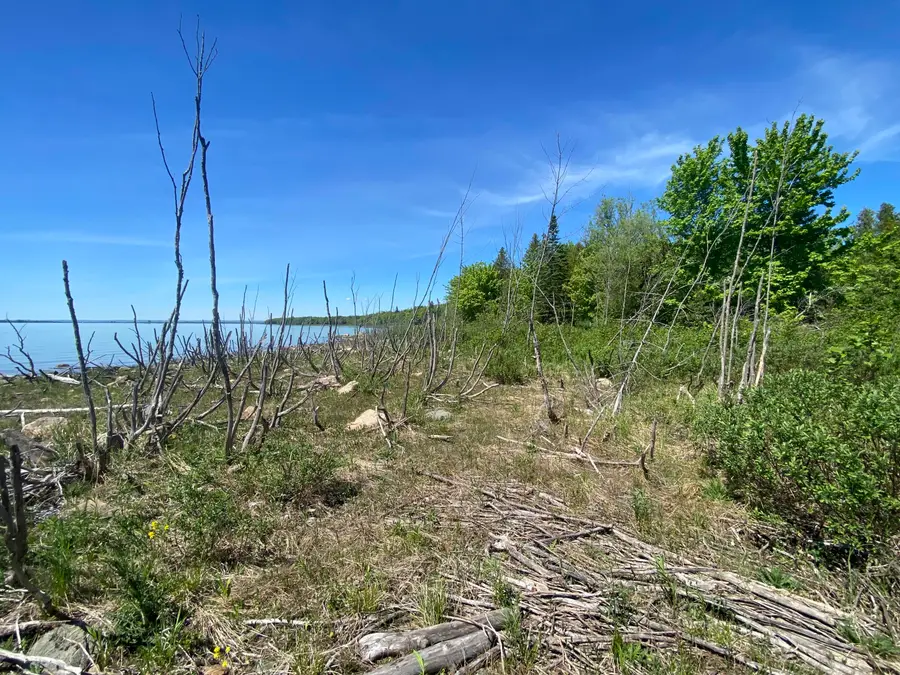 WF Laramie Lane, Sugar Island, MI 49783 - #3