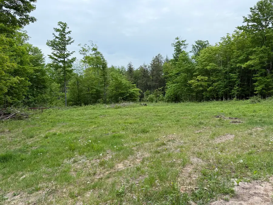 0 E M48, Goetzville, MI 49736 - #3