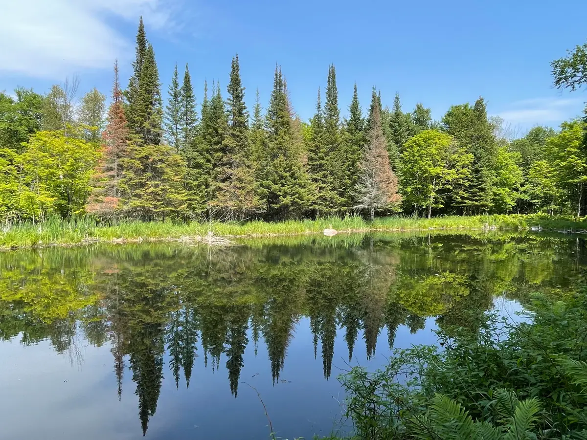 0 E M48, Goetzville, MI 49736 - #1