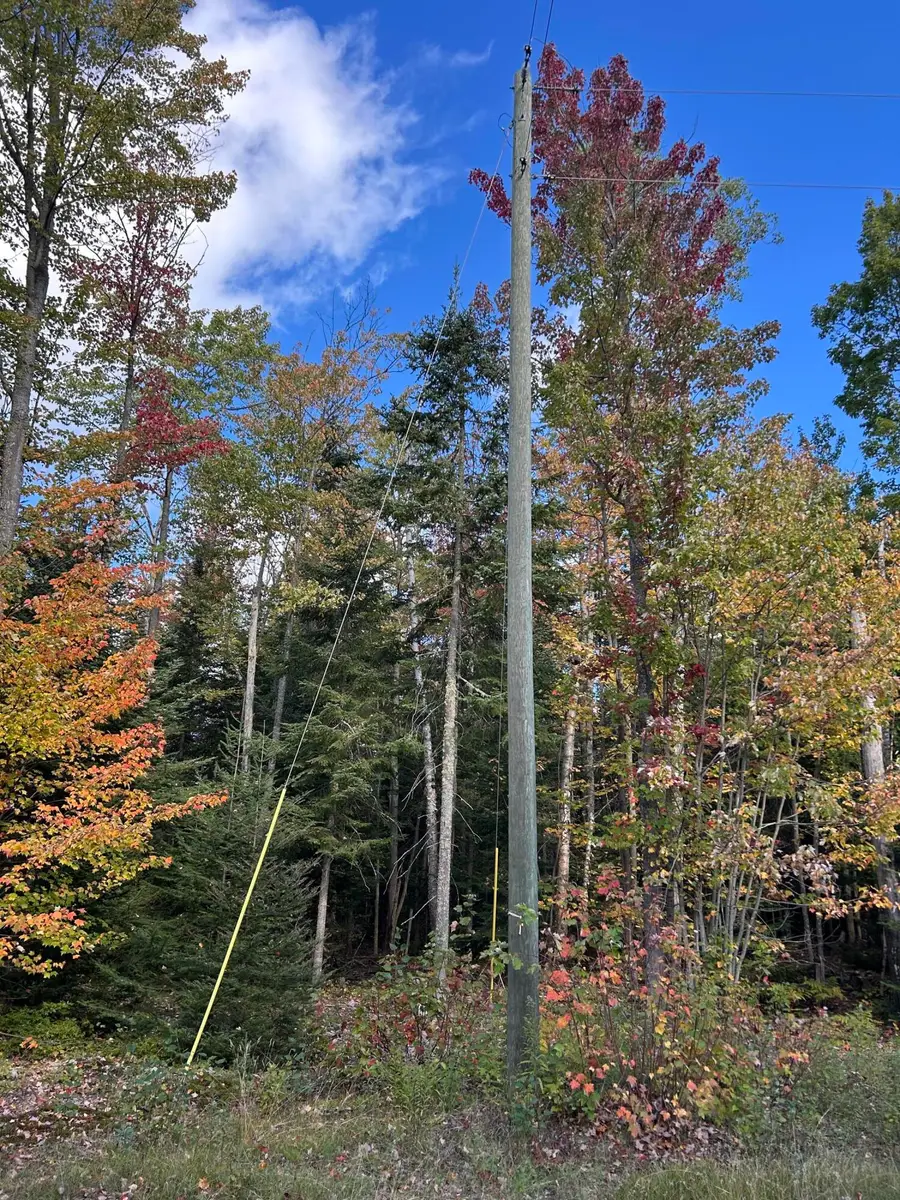 TBD N Whitefish Point, Paradise, MI 49768 - #2