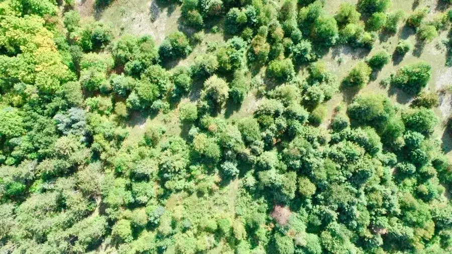 TBD M-28 Hwy, McMillan, MI 49853 - #3