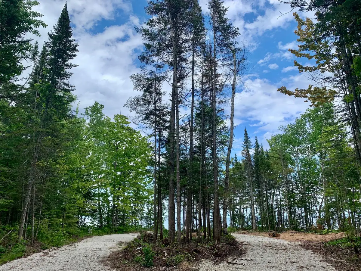 9016 N Whitefish Point Rd, Paradise, MI 49768 - #1