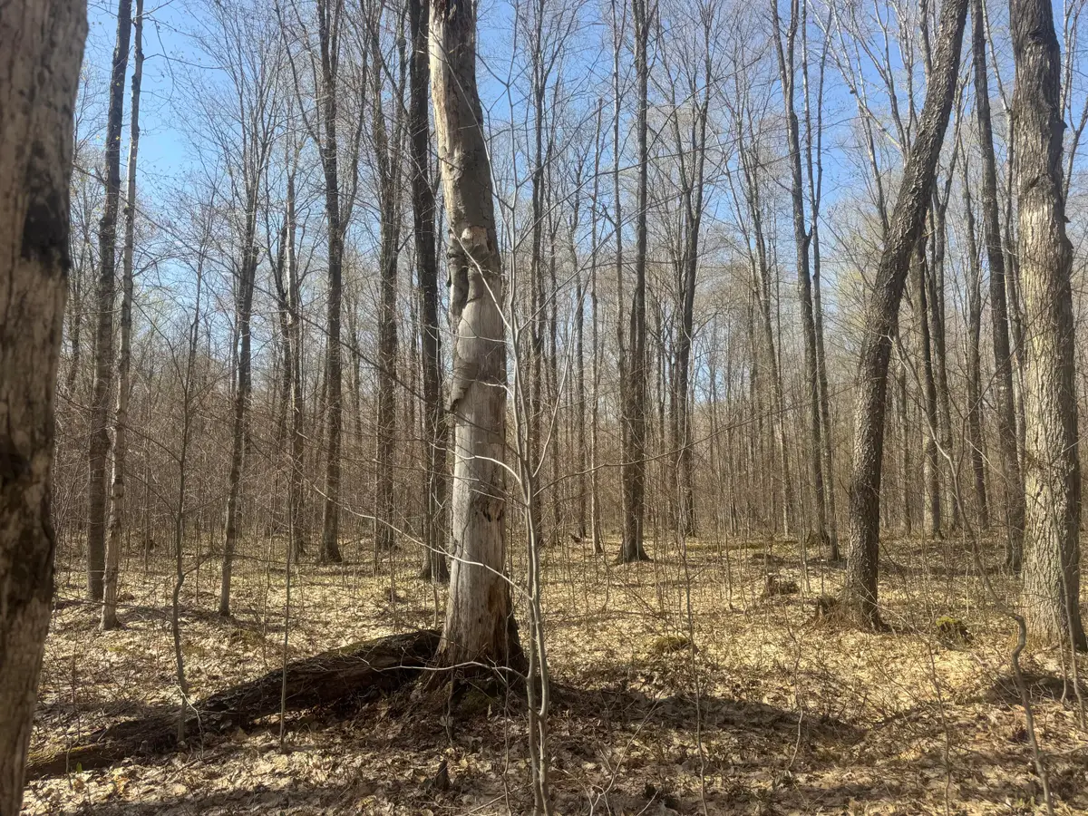 tbd Sandtown Rd, Engadine, MI 49827 - #1