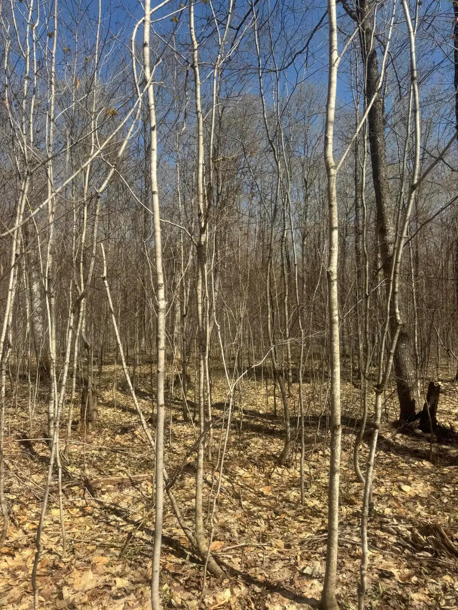 tbd Sandtown Rd, Engadine, MI 49827 - #2