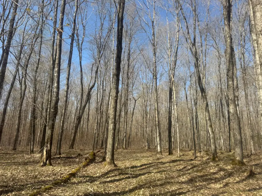 tbd Sandtown Rd, Engadine, MI 49827 - #3