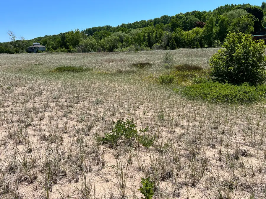 14238 Ellen St, Grand Marais, MI 49839 - #3