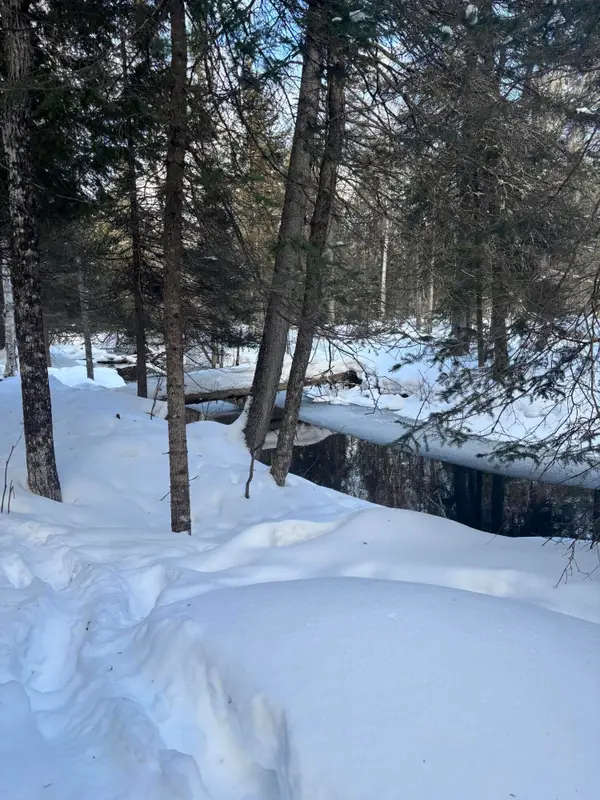 TBD S Flower Bay Rd, Cedarville, MI 49719