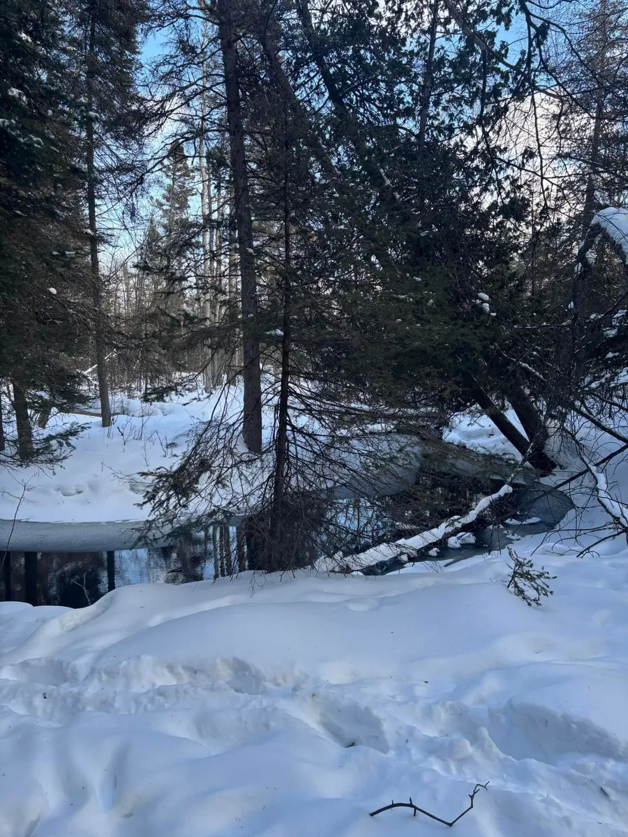 TBD S Flower Bay Rd, Cedarville, MI 49719 - #2