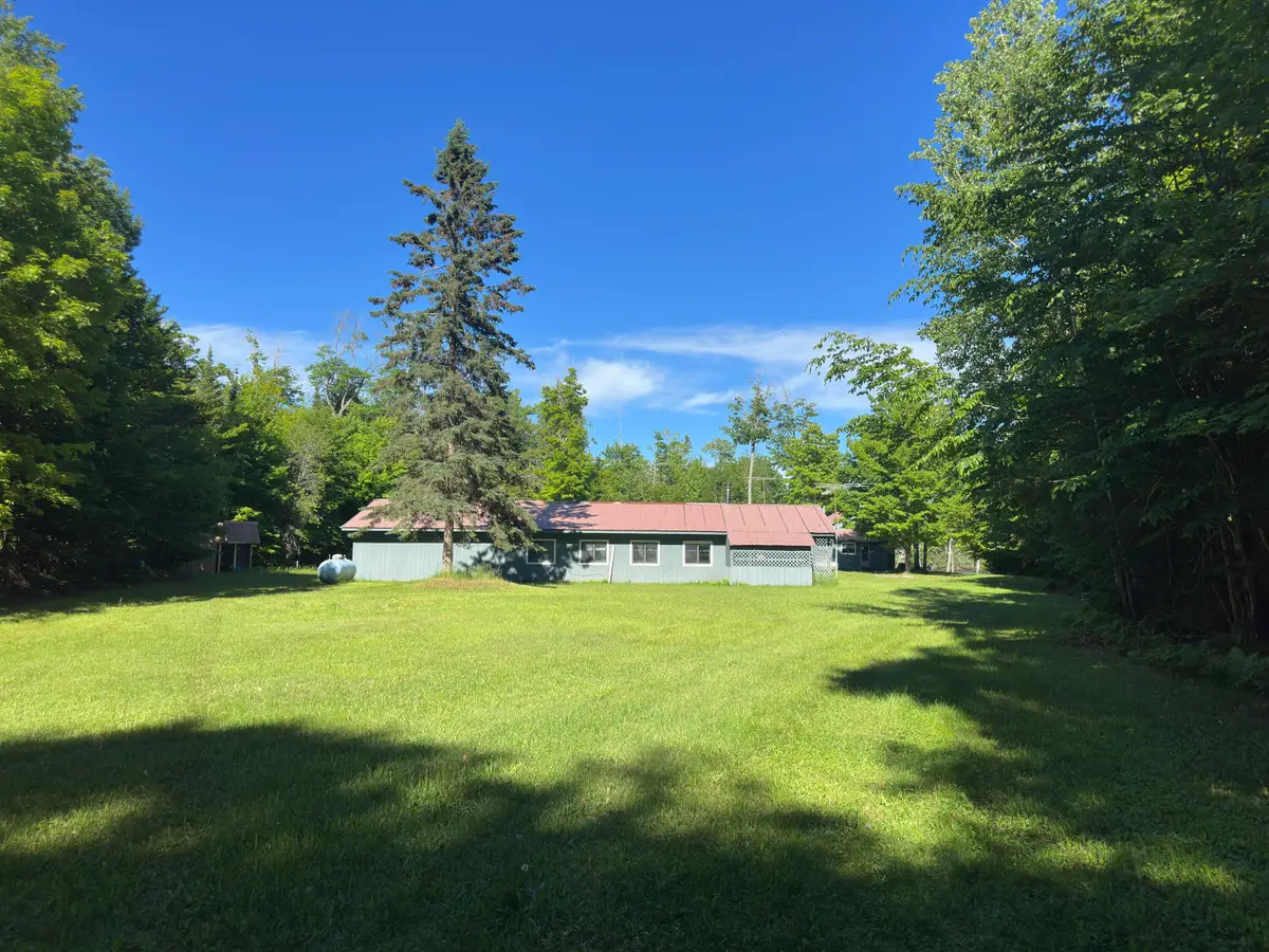 36271 W Tahquamenon Trl, Paradise, MI 49768 - #1