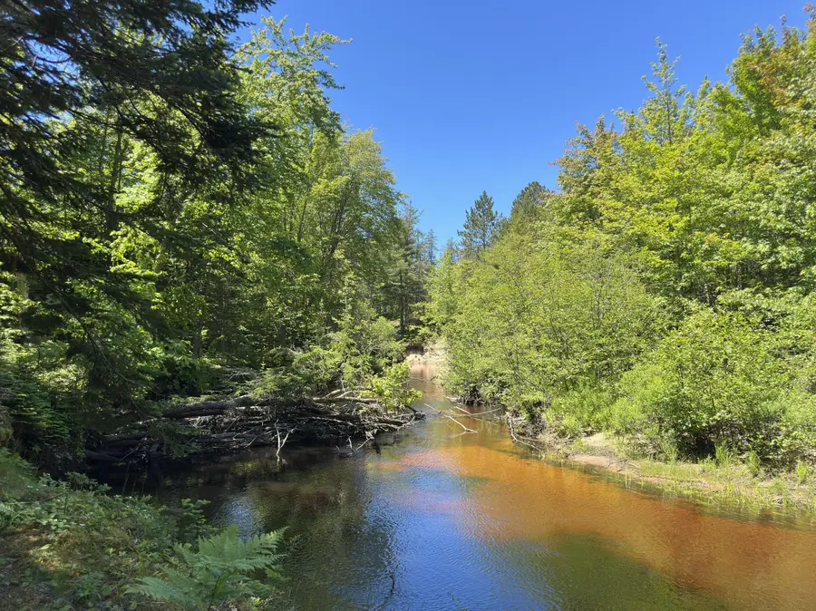 Lot 1 & 2 W South River Rd, Paradise, MI 49768 - #3