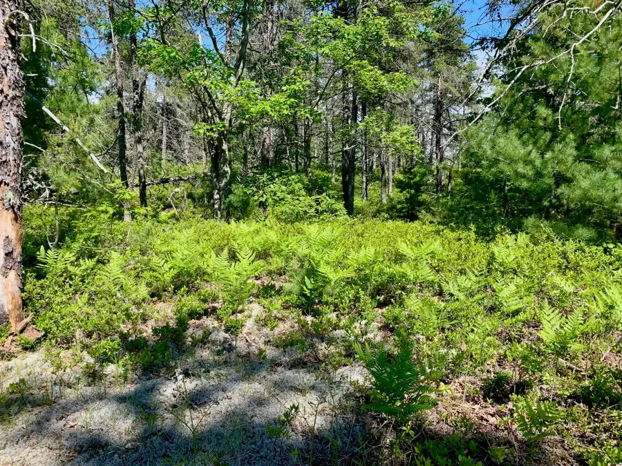 13713 N Whitefish Point Rd, Paradise, MI 49768 - #3