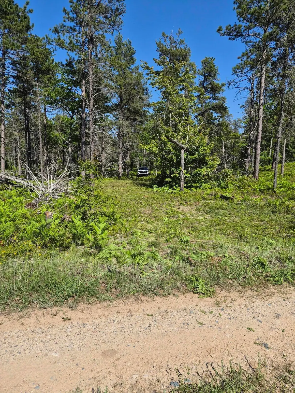 Andrus N Whitefish Point Rd, Paradise, MI 49768 - #1