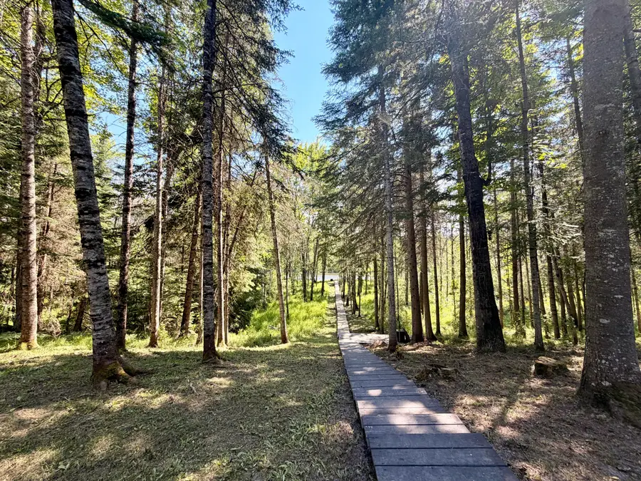 TBD N Hulbert Rd, Newberry, MI 49868 - #3
