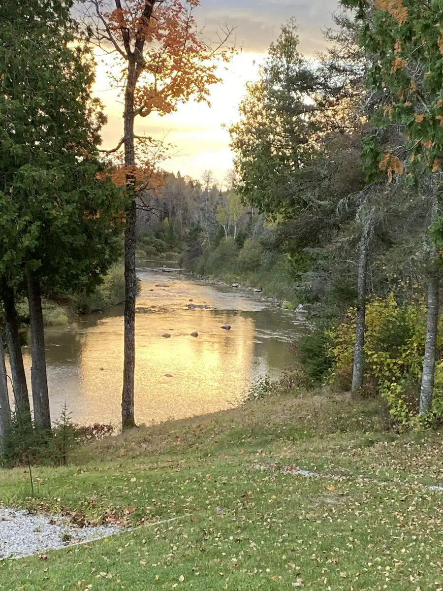 5985 N Service Rd, Hessel, MI 49745 - #2