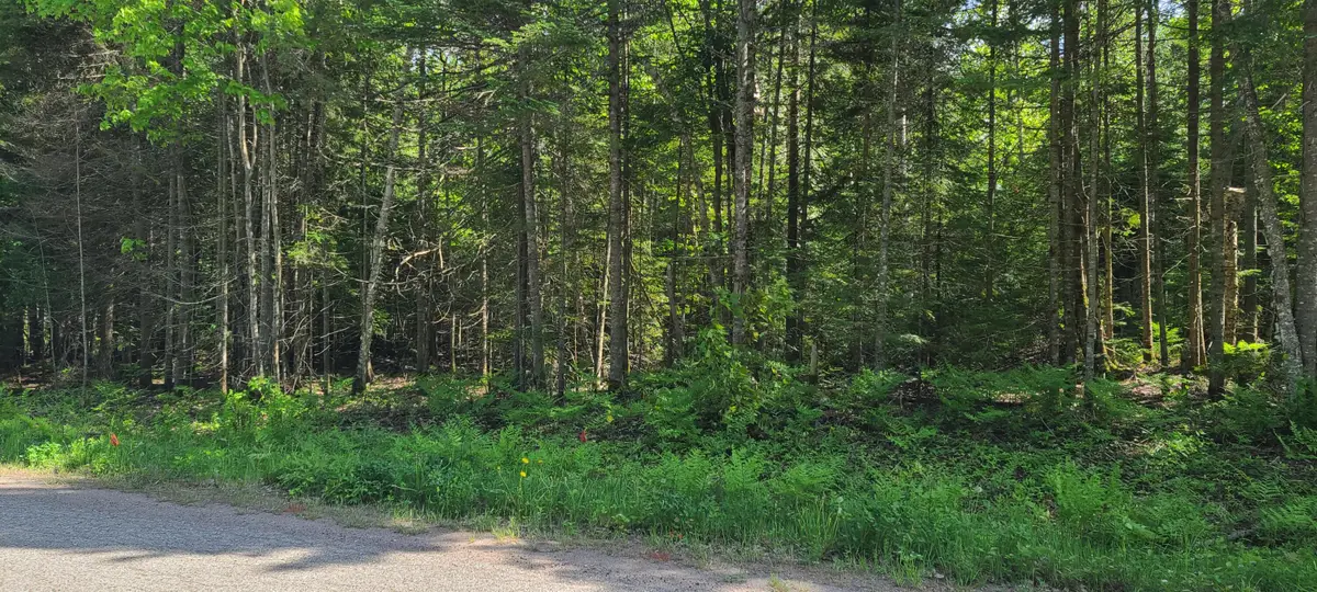 LOT #9 PWS W Cedar Dr, Sault Sainte Marie, MI 49783 - #1