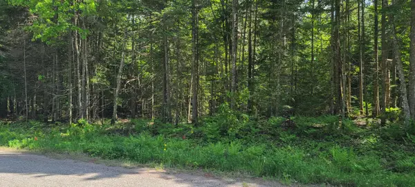 LOT #9 PWS W Cedar Dr, Sault Ste Marie, MI 49783
