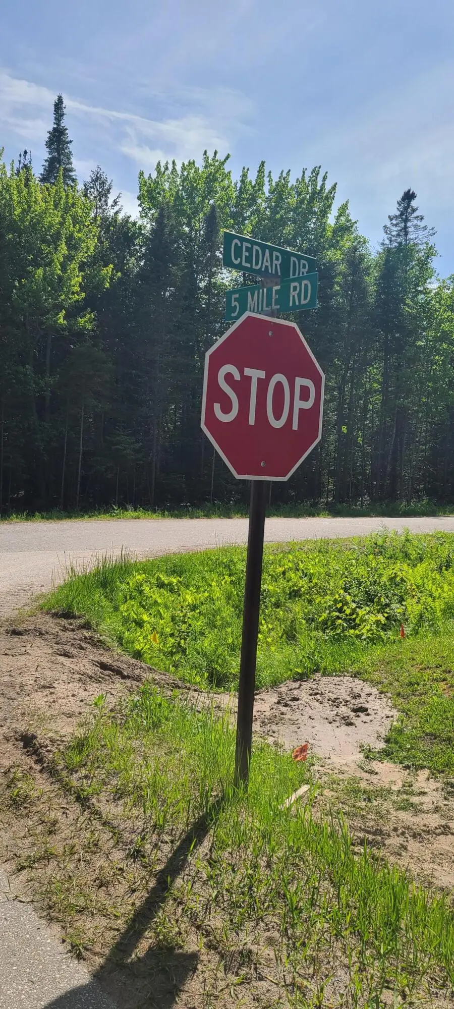 LOT #9 PWS W Cedar Dr, Sault Sainte Marie, MI 49783 - #3