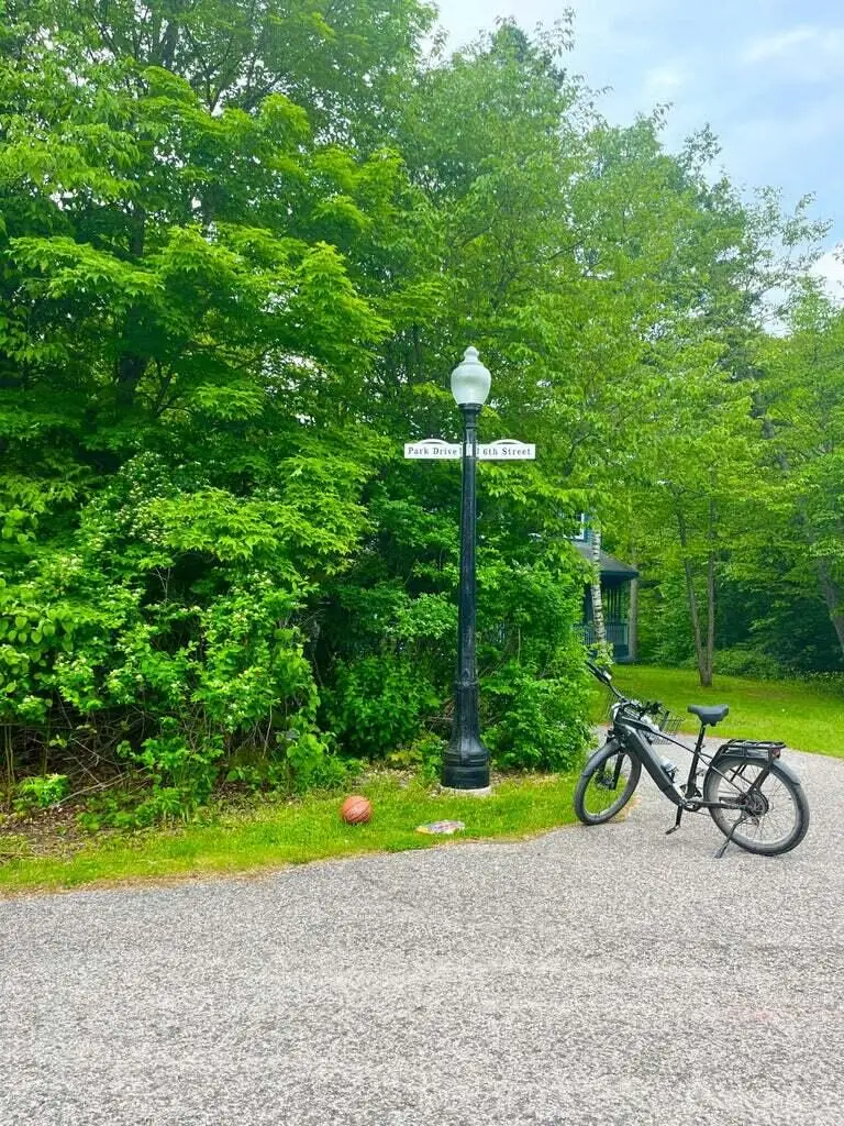 11 Trillium Dr, Mackinac Island, MI 49757 - #2