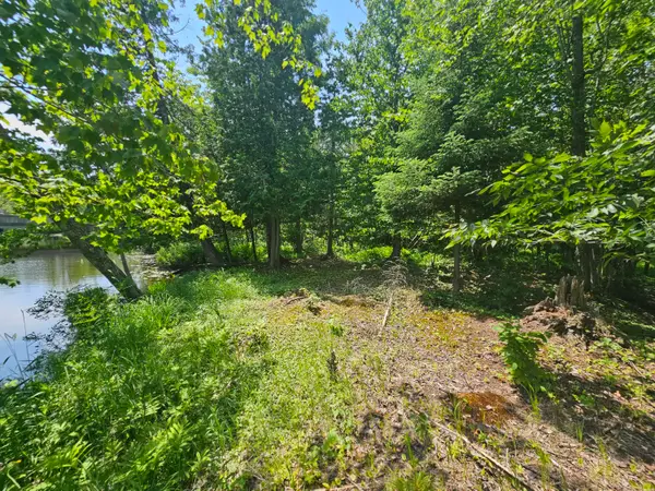 00 County Road H-33, Curtis, MI 49820