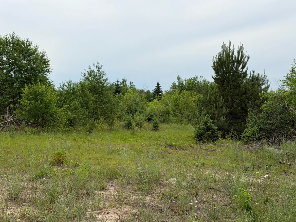 12822 M-123, Newberry, MI 49868 - #1