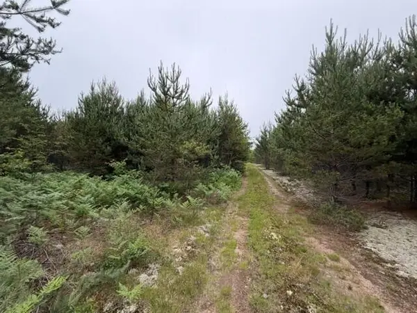 17268 W Pendills Lake Rd, Brimley/Bay Mills, MI 49715