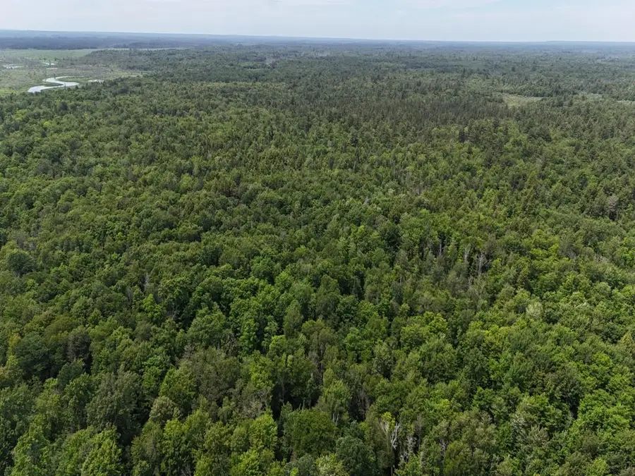 000 Co Rd 510, Newberry, MI 49868 - #3