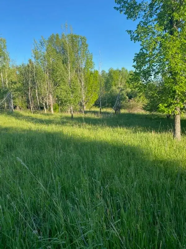00 Donner Dr, Germfask, MI 49836