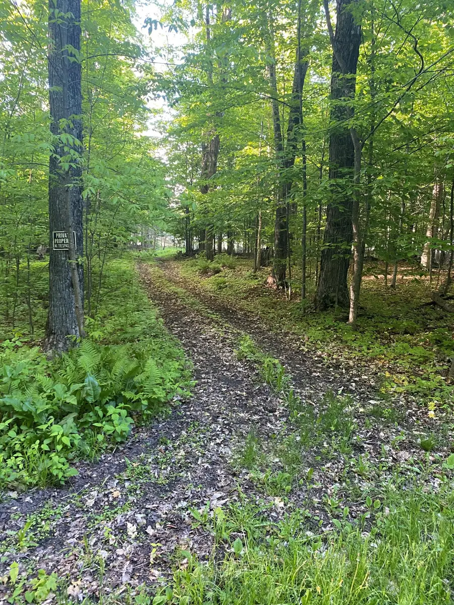 00 Donner Dr, Germfask, MI 49836 - #3