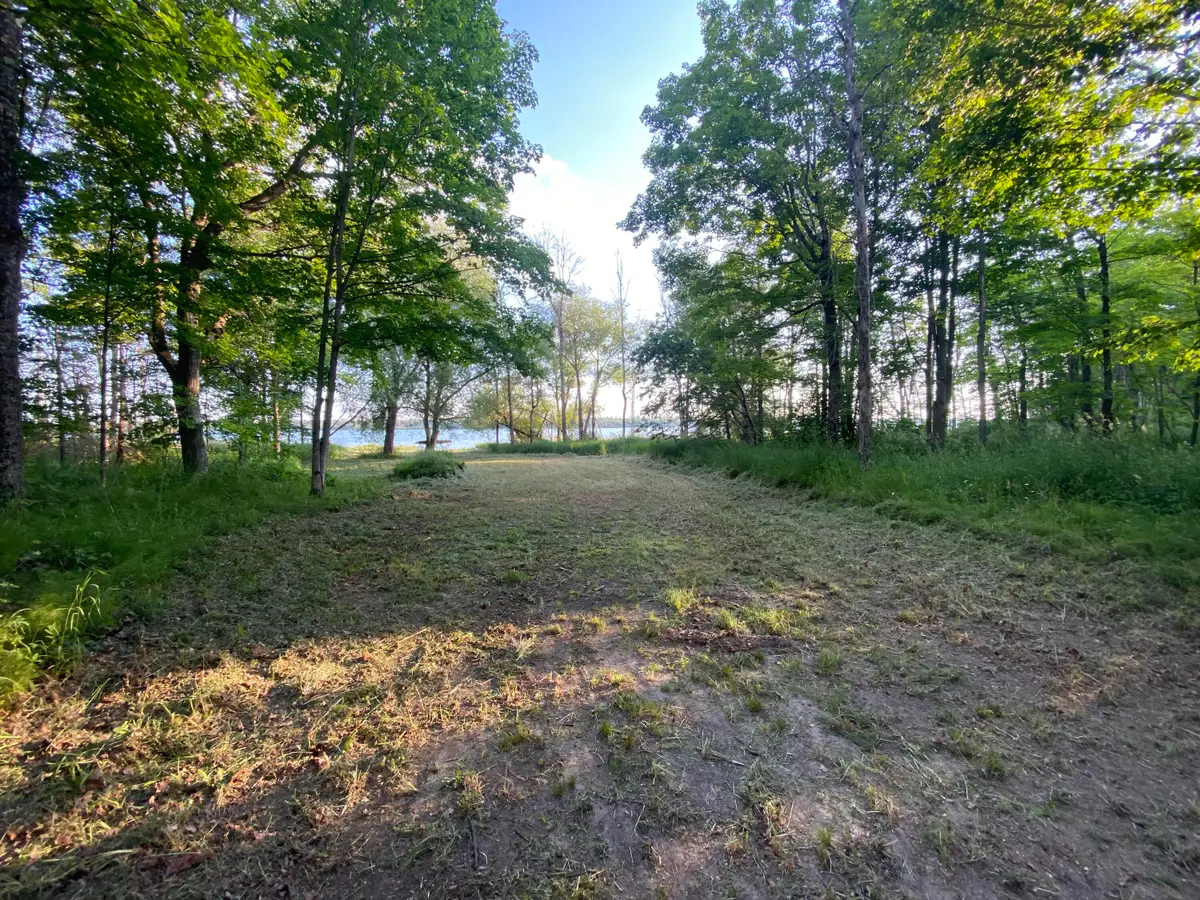 10724 E Bradshaw Ln, Sugar Island, MI 49783 - #1