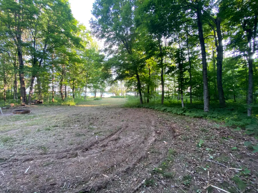 10724 E Bradshaw Ln, Sugar Island, MI 49783 - #2