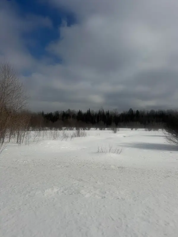 0 Michigan 77 Hwy, Germfask, MI 49836