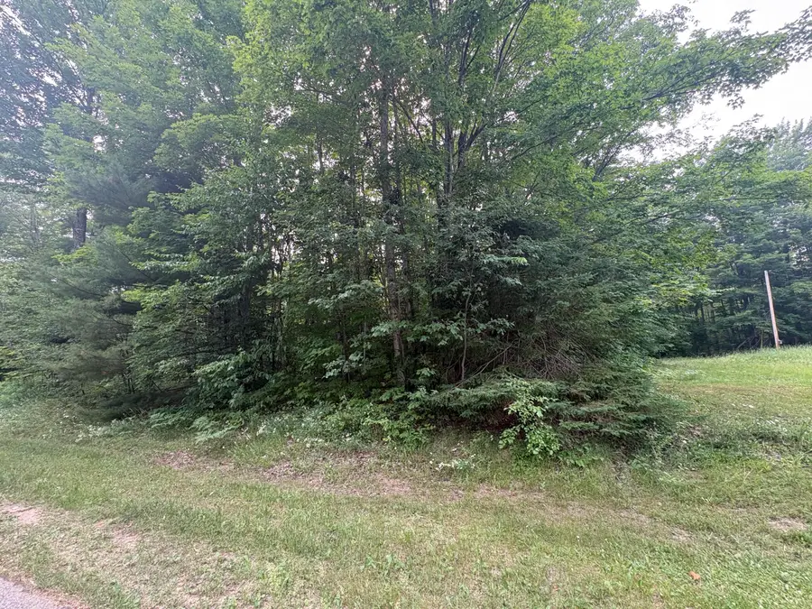 000 County Road 447, Newberry, MI 49868 - #2