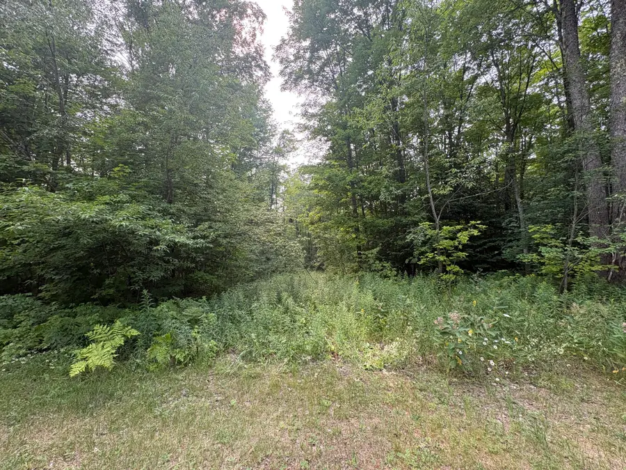 000 County Road 447, Newberry, MI 49868 - #3
