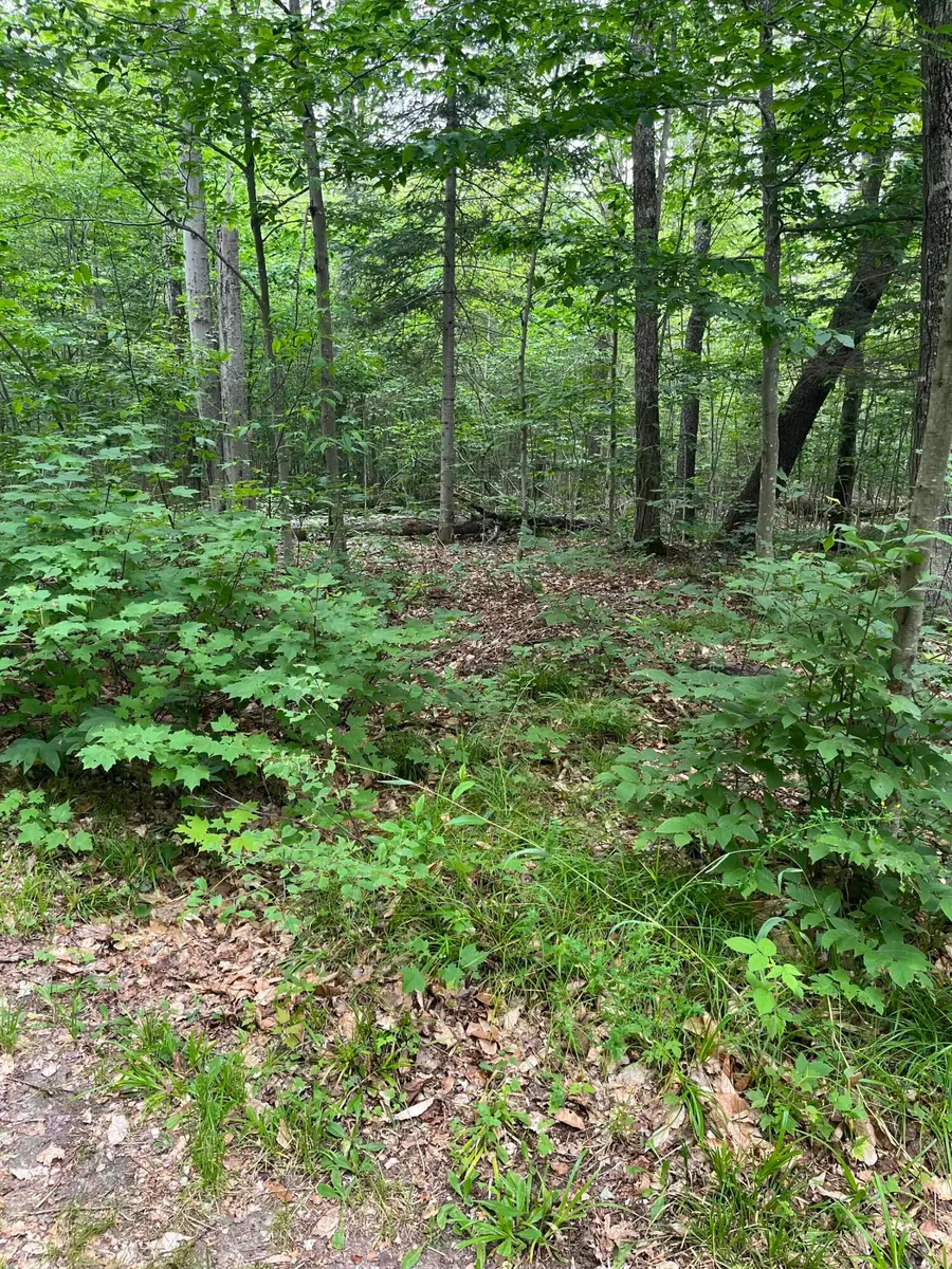 000 State Highway M-117, Newberry, MI 49868 - #2