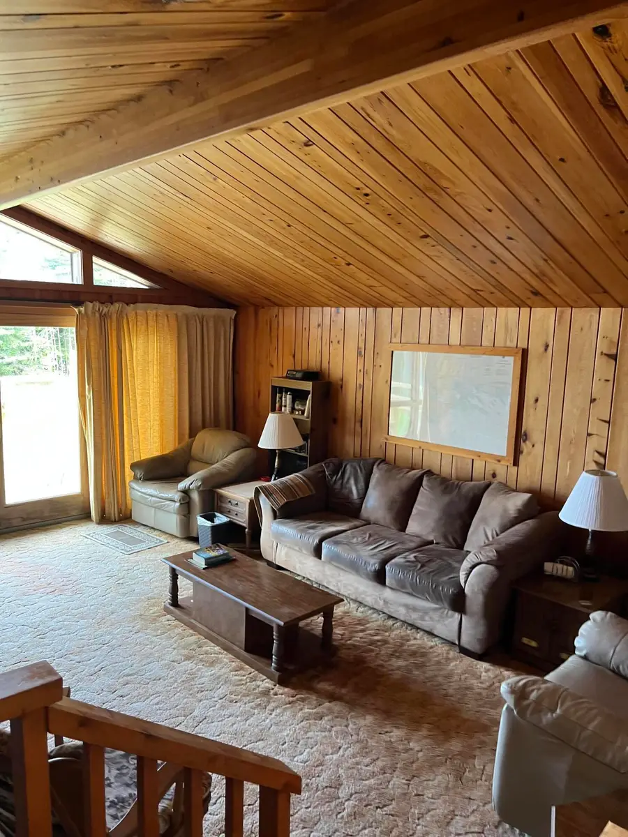 1528 S Forest Ln, Cedarville, MI 49719 - #3