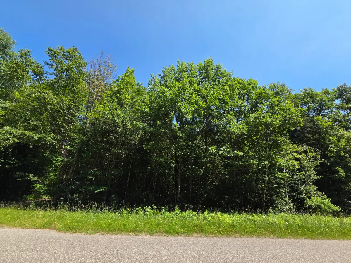 0 S Cottage Rd, Barbeau, MI 49710 - #1
